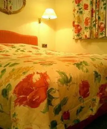 Buchholz Downtown 3*