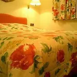 Buchholz Downtown 3*